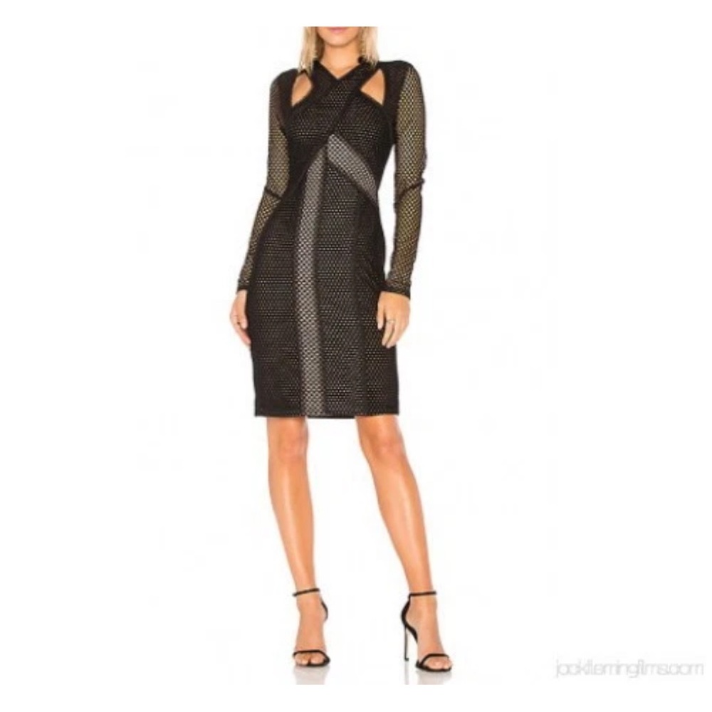 Elegant Black Mesh Dress